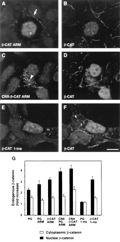 FIG. 7