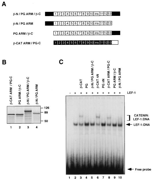 FIG. 3