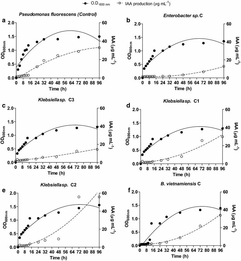 Fig. 4