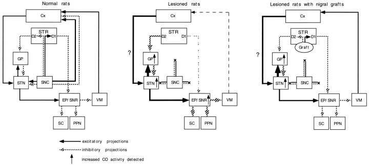 Fig. 8.