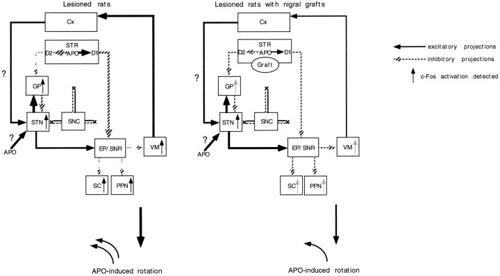 Fig. 9.