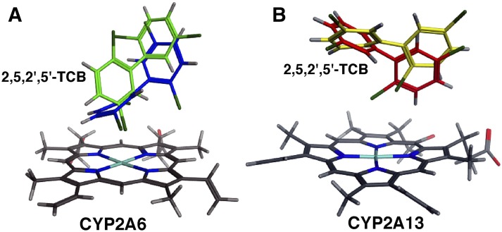 Fig. 8.