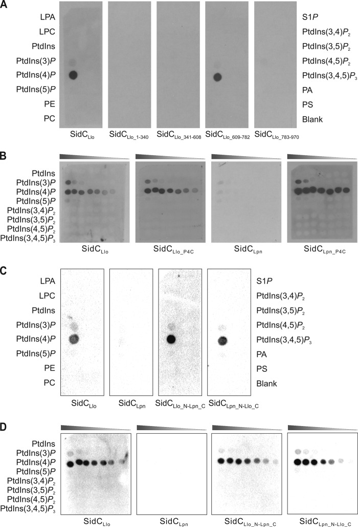 FIG 2