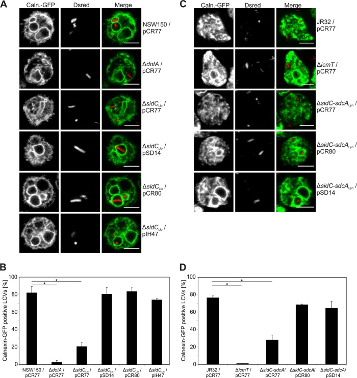 FIG 6