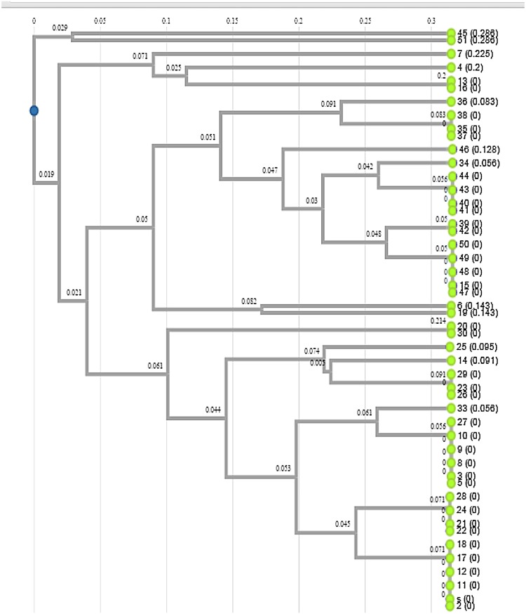 Fig. 1