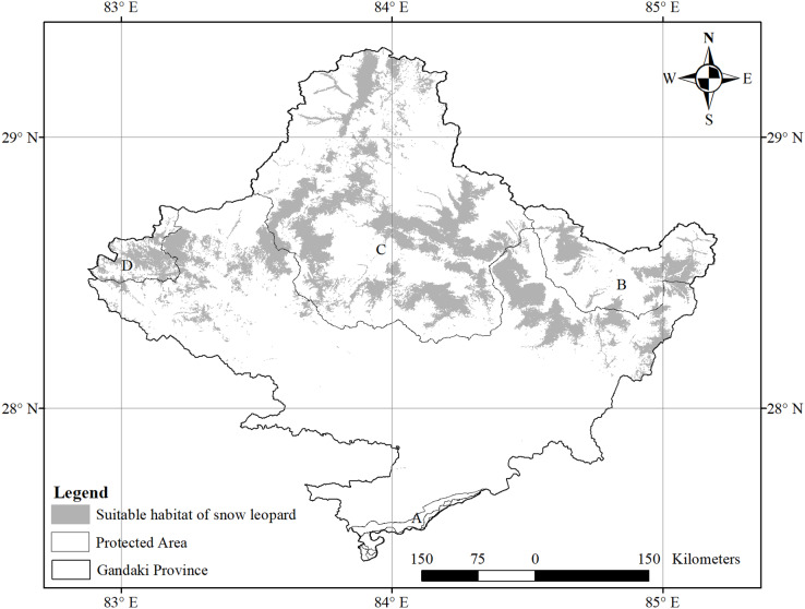 Figure 13