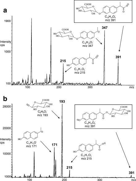 Fig. 7