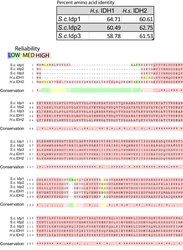 Figure 1—figure supplement 1.