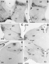 Fig. 10.