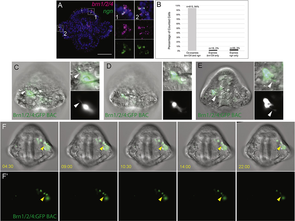 Figure 3: