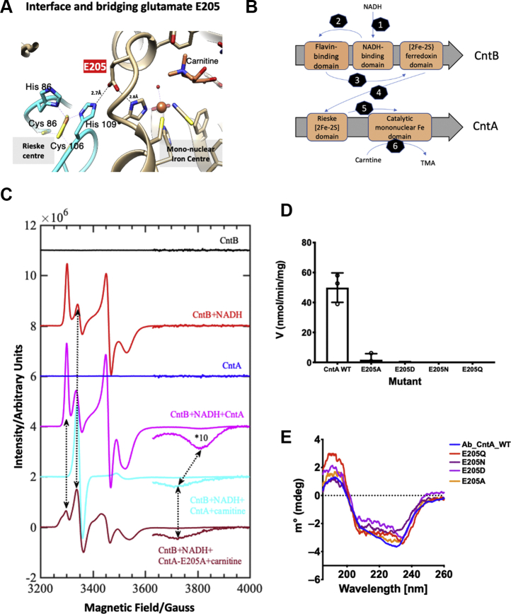 Figure 2