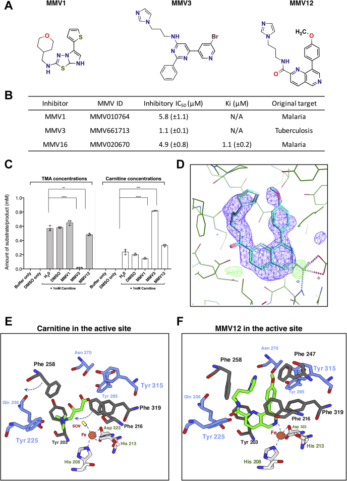 Figure 6