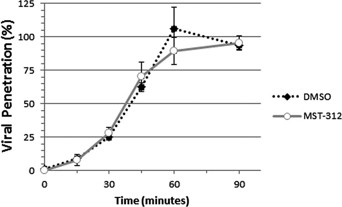 FIG 13