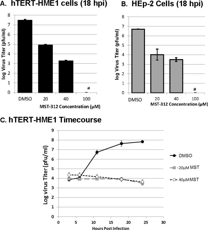 FIG 6