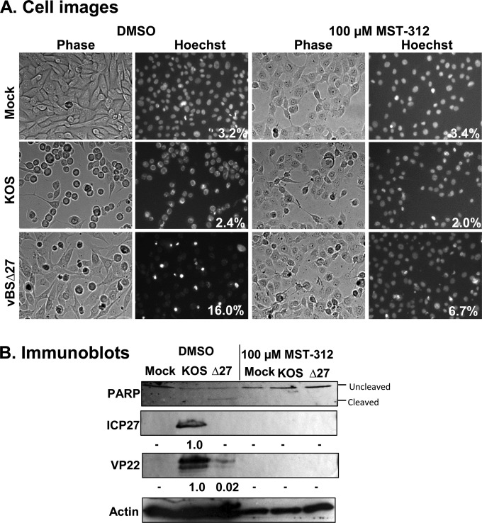 FIG 3