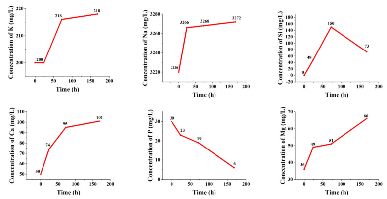 Figure 6