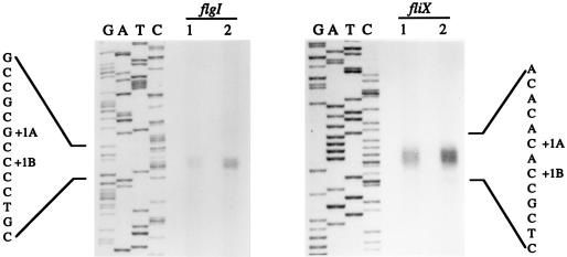 FIG. 6