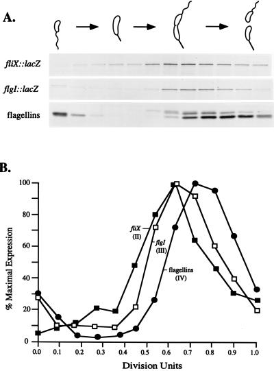 FIG. 5