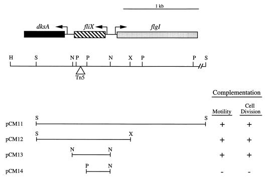 FIG. 3