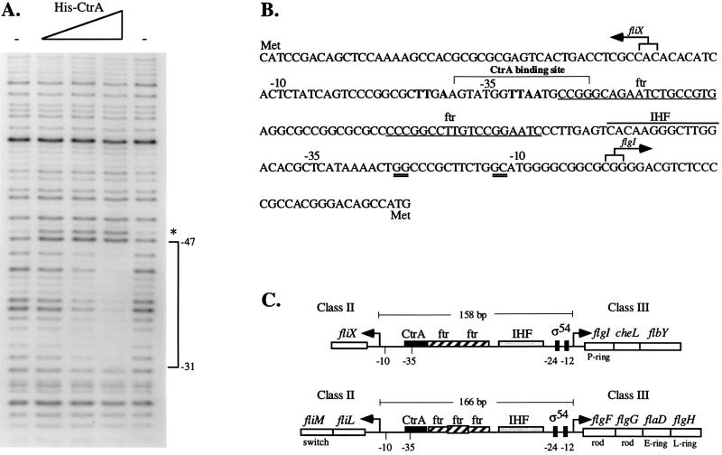 FIG. 7