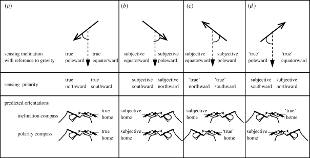 Figure 2.