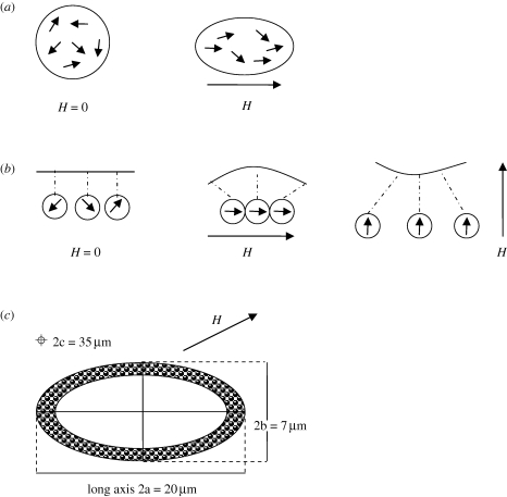 Figure 3.