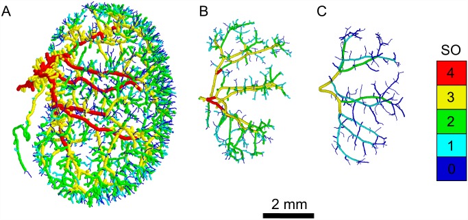 Fig 2