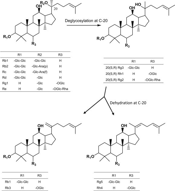 Fig. 2