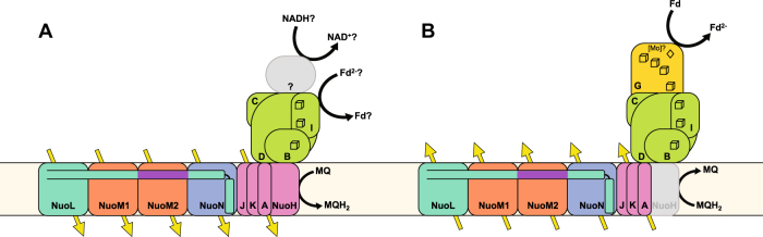 Fig. 7