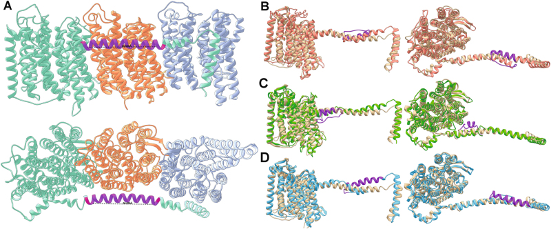 Fig. 6