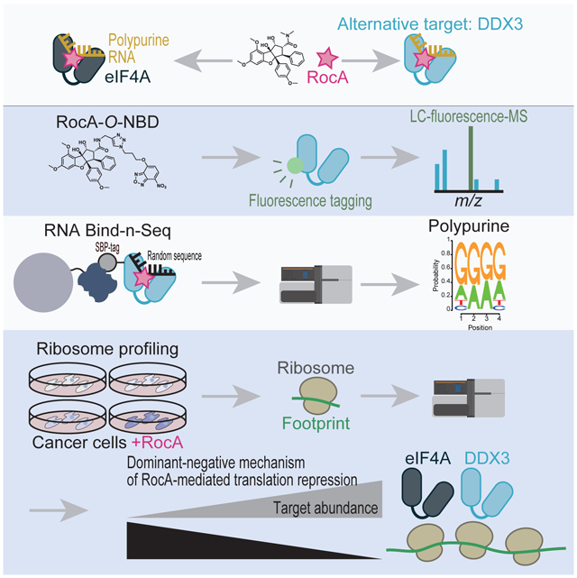 graphic file with name nihms-1650347-f0001.jpg