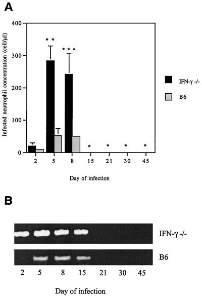 FIG. 5