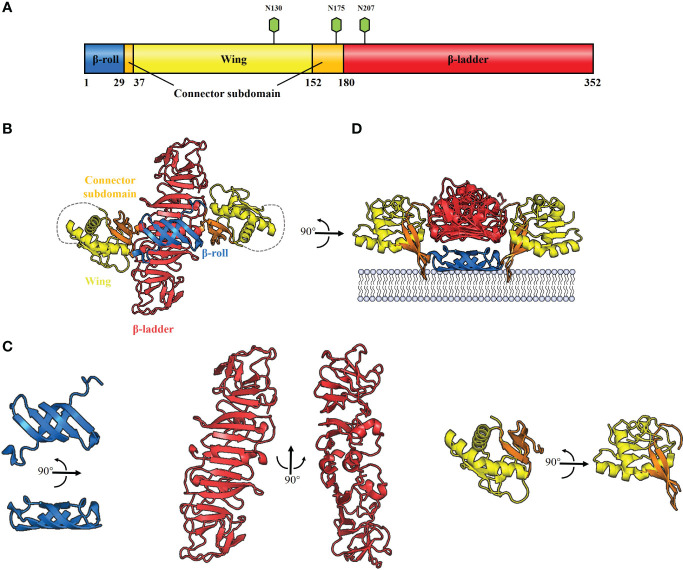 Figure 2