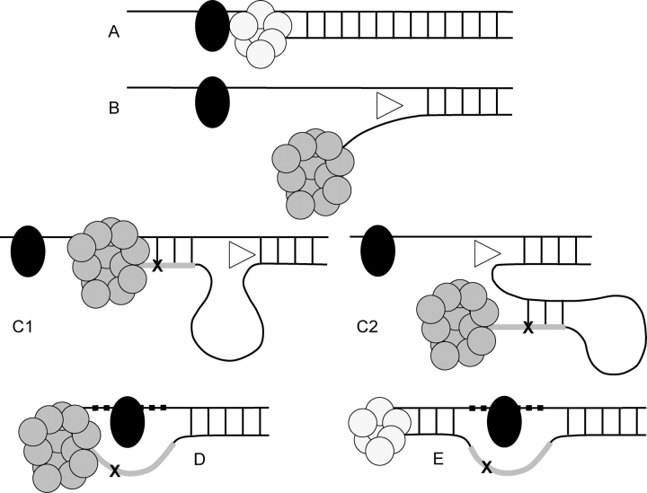 Figure 3.