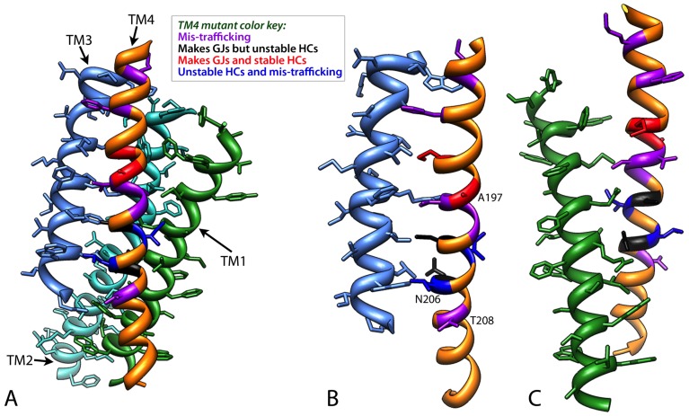 Figure 12