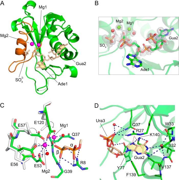 FIGURE 4.