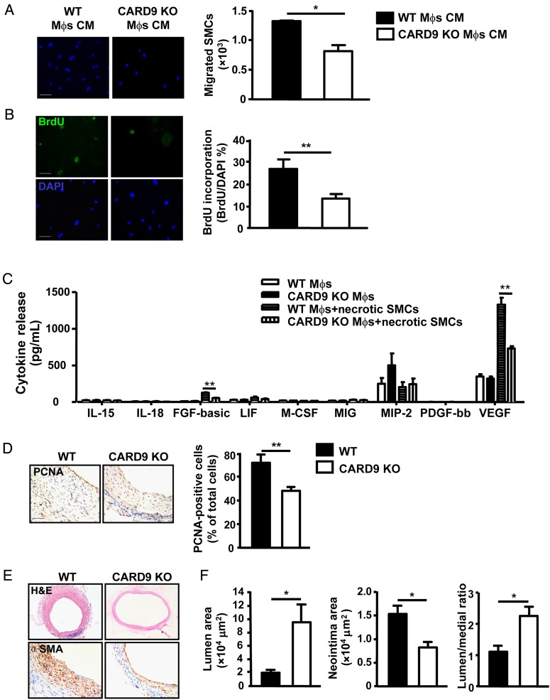 Figure 6