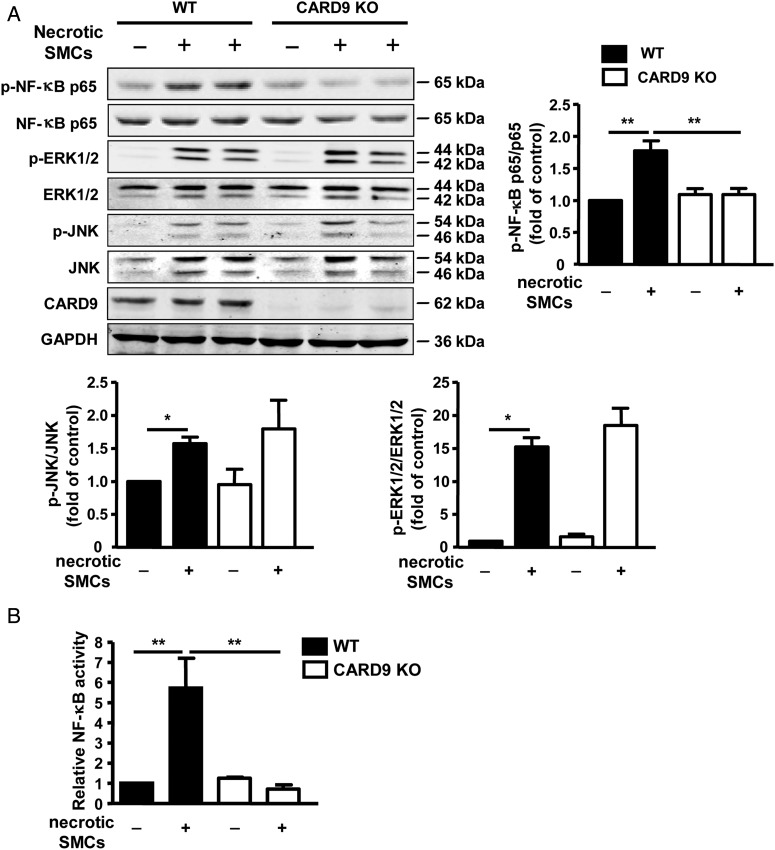 Figure 5