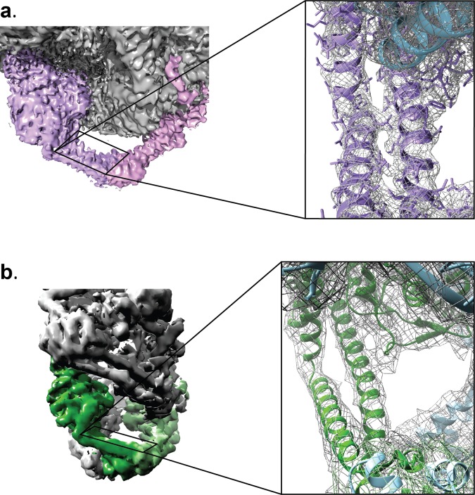 Figure 2—figure supplement 2.