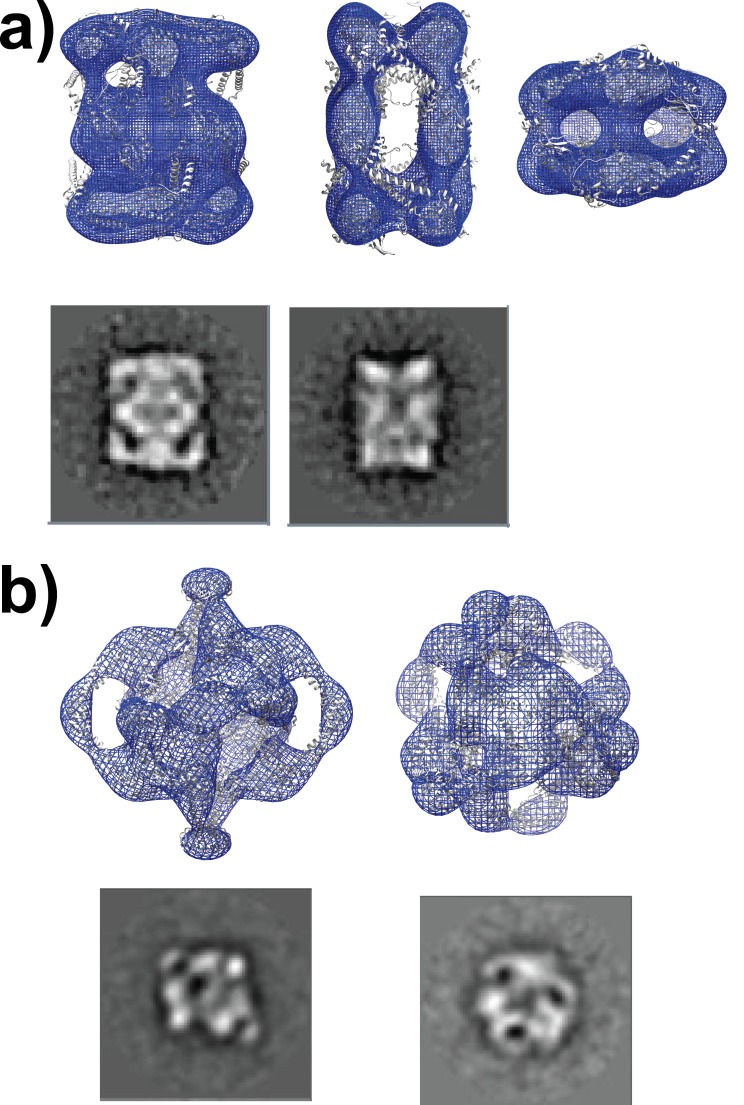 Figure 2—figure supplement 7.