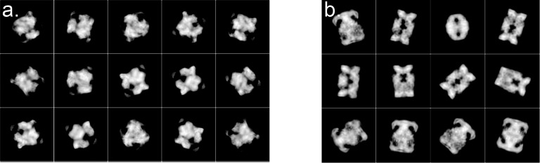 Figure 2—figure supplement 8.