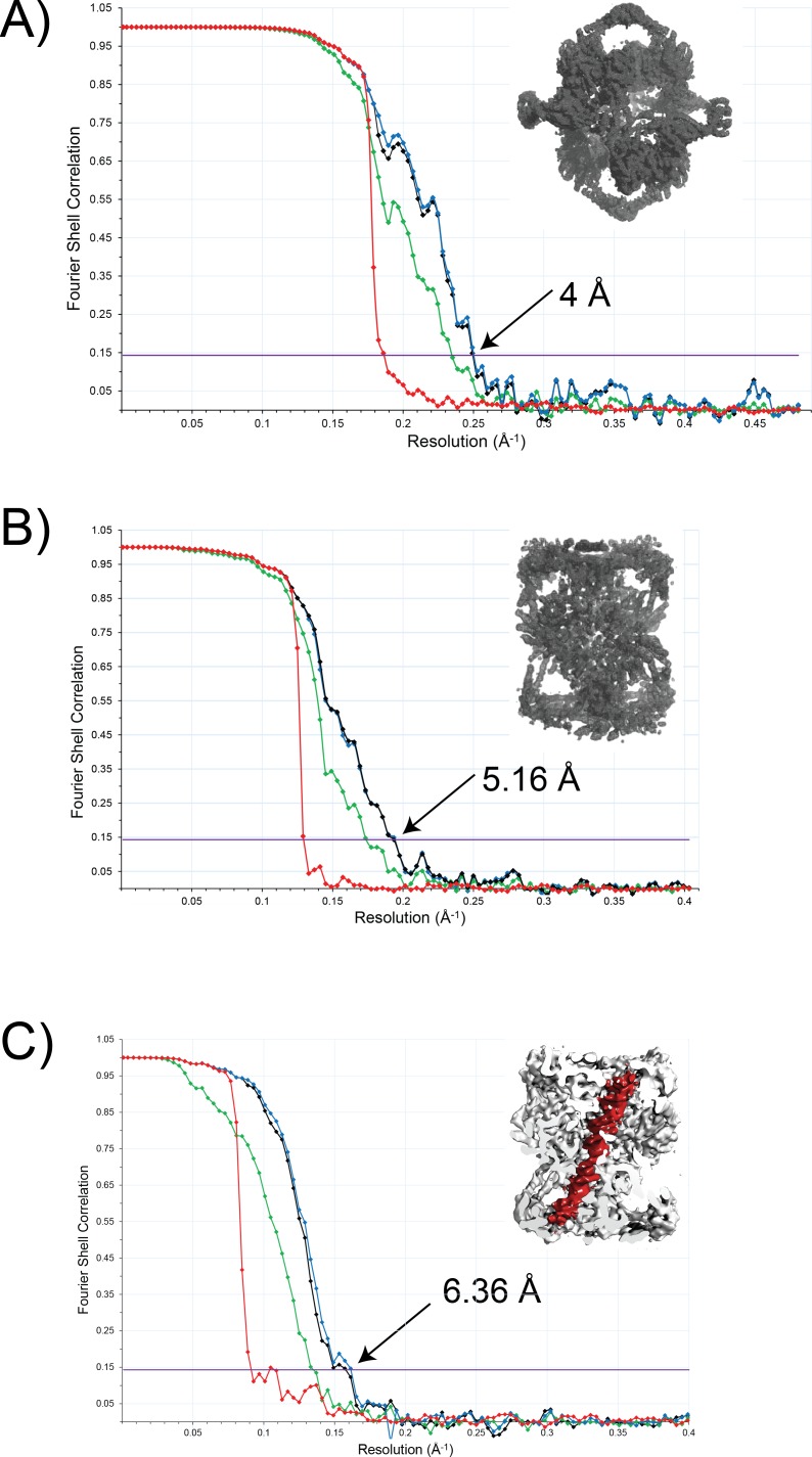 Figure 2—figure supplement 3.