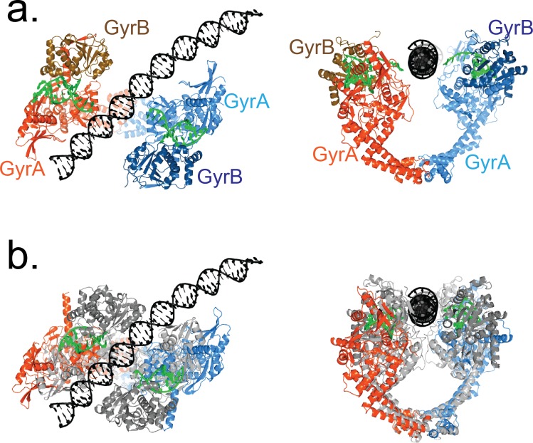 Figure 5—figure supplement 2.