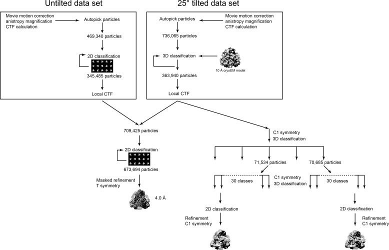 Figure 2—figure supplement 4.