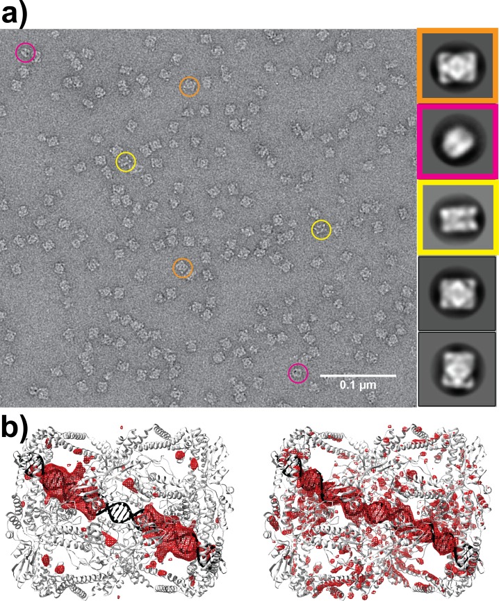 Figure 2—figure supplement 1.