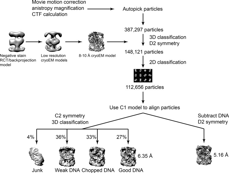 Figure 2—figure supplement 6.