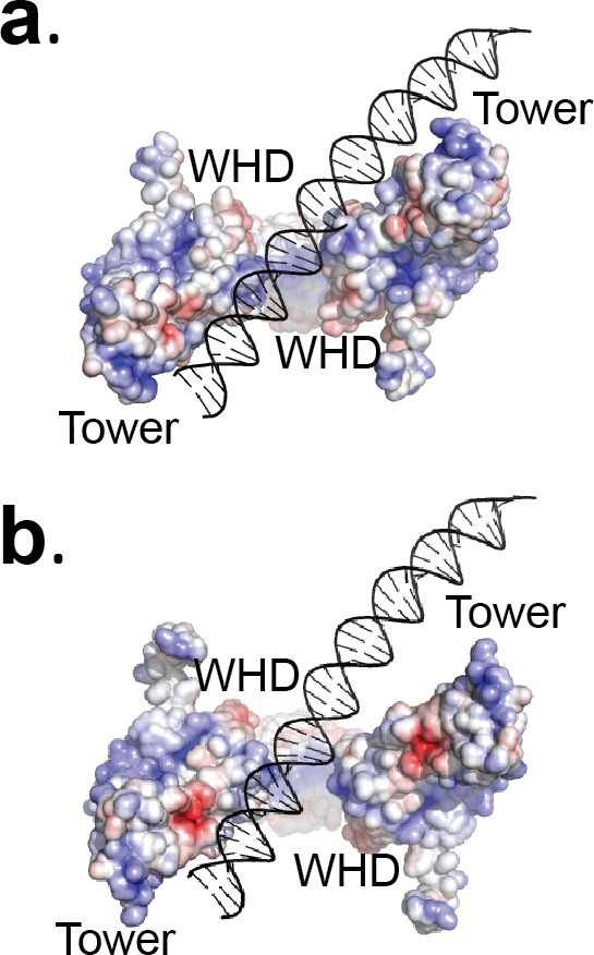 Figure 5—figure supplement 1.