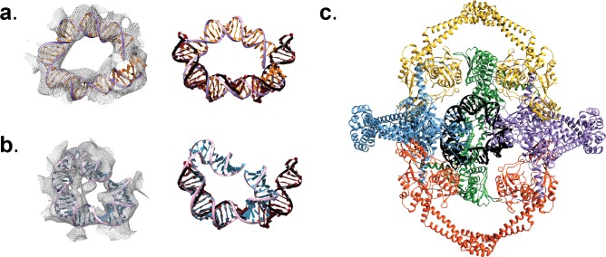 Figure 2—figure supplement 5.