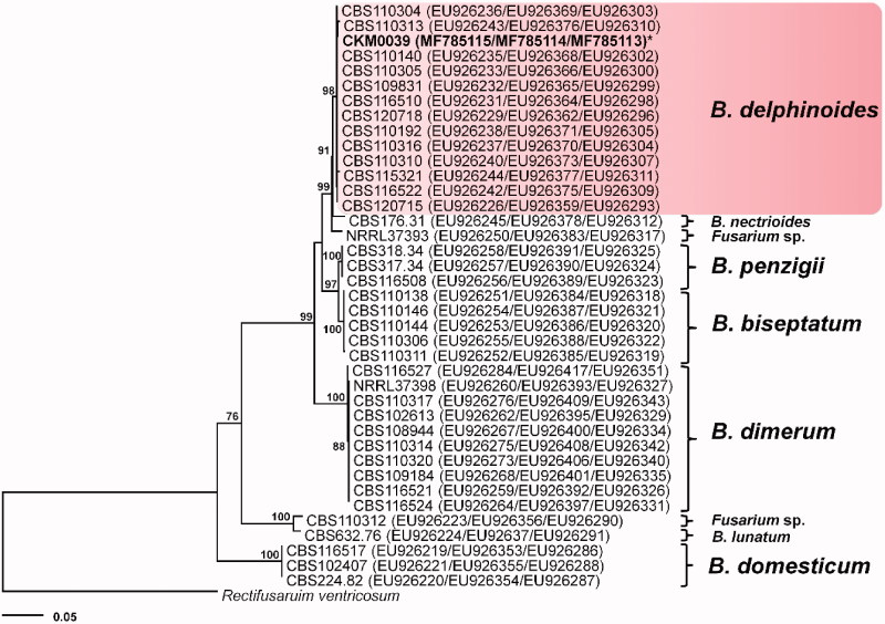 Figure 2.