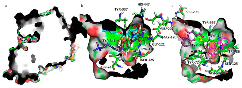 Figure 5